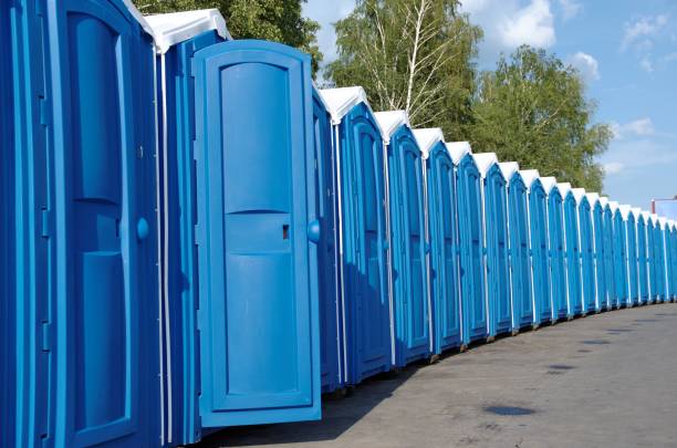 Best Sanitation services for porta potties  in Baldwin, MI